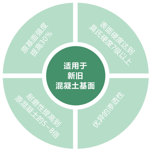 主要特点
